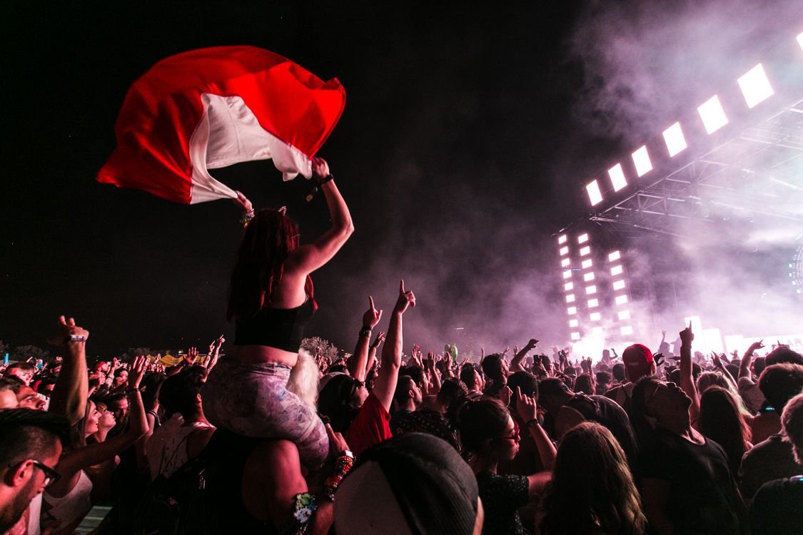 Energetic concert crowd at a live event
